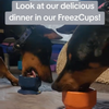 FreezCup - Long-Lasting Chew Fun